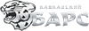 БАРС