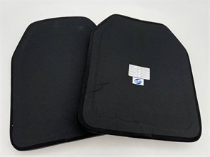 Плиты CNAS 2шт. БР5 (NIJ IV STA, оксид алюминия) 6uZ7MEAchAnfbKfquLSuT3